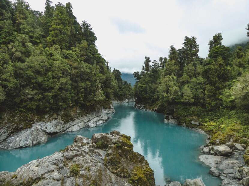 Cuidar el medio ambiente para contar con agua