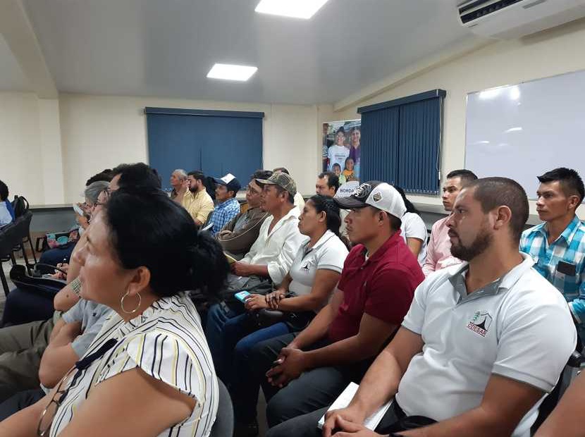 Legalizar a los CAPS continúa siendo un reto