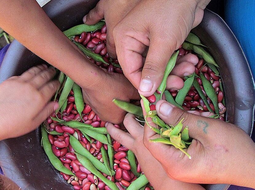 Rol de la mujer en la seguridad Alimentaria