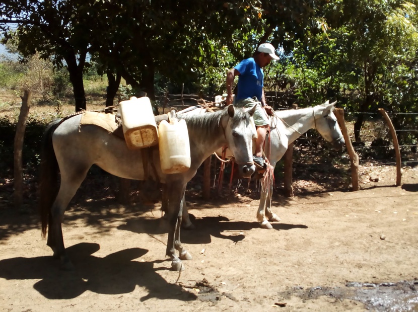 A lomo de caballo