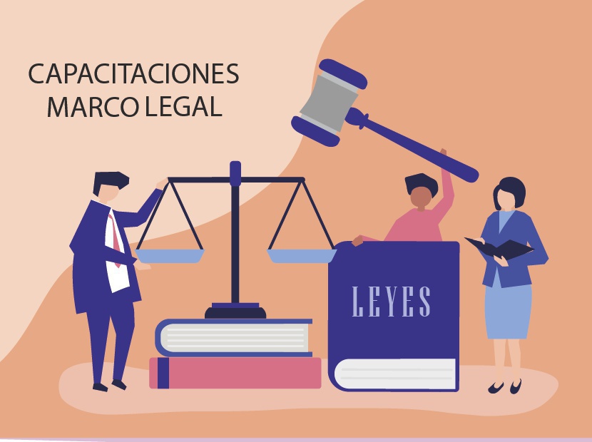 10ma capacitación Marco Legal - Villanueva