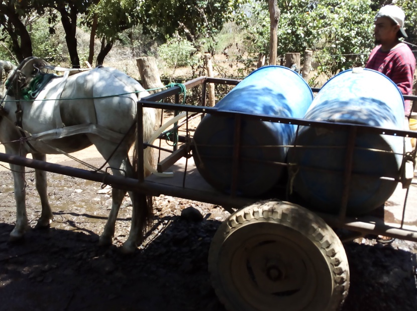 En carretón de caballo