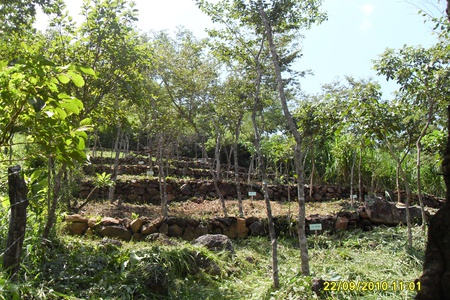 Obras de conservación de suelos y agua