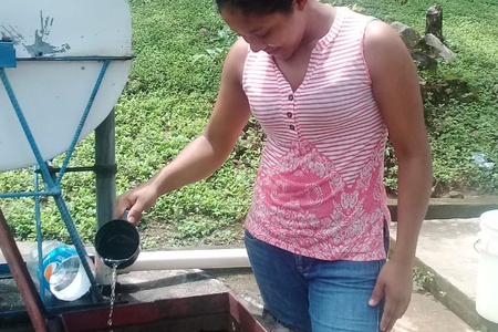 Cloración Sauce
