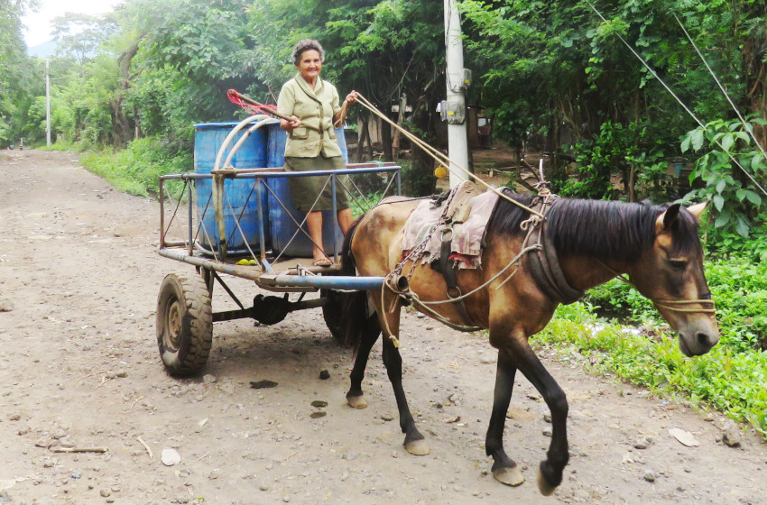 Carreta jala agua.